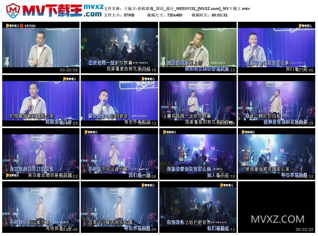 王振宇-香槟玫瑰_国语_流行_MEE01132